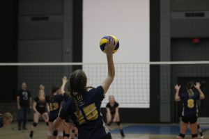 IMG_9356 (1)